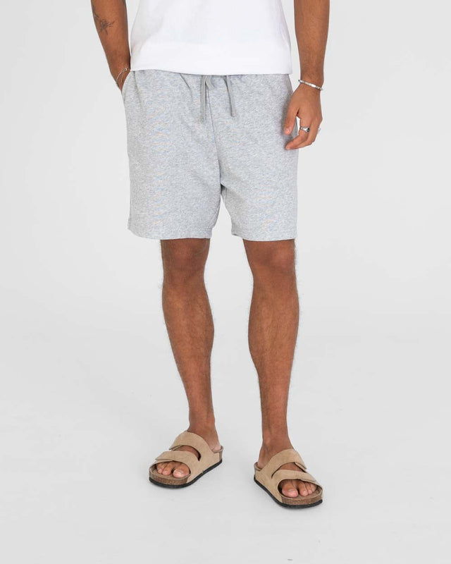 Blank Shorts Grey | Skagen - clothing.dk